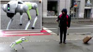 A început nebunia și în România! Orașul unde patrulează roboți umanoizi și patrupezi pe străzi