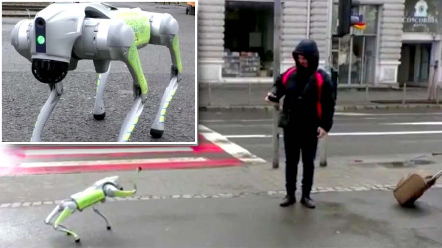 A început nebunia și în România! Orașul unde patrulează roboți umanoizi și patrupezi pe străzi
